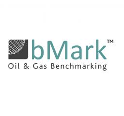 Oil_Gas_Benchmarking_software_bMark_Belltree_limited_subsurface_wells_logo