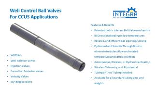 Well Control Ball Valves